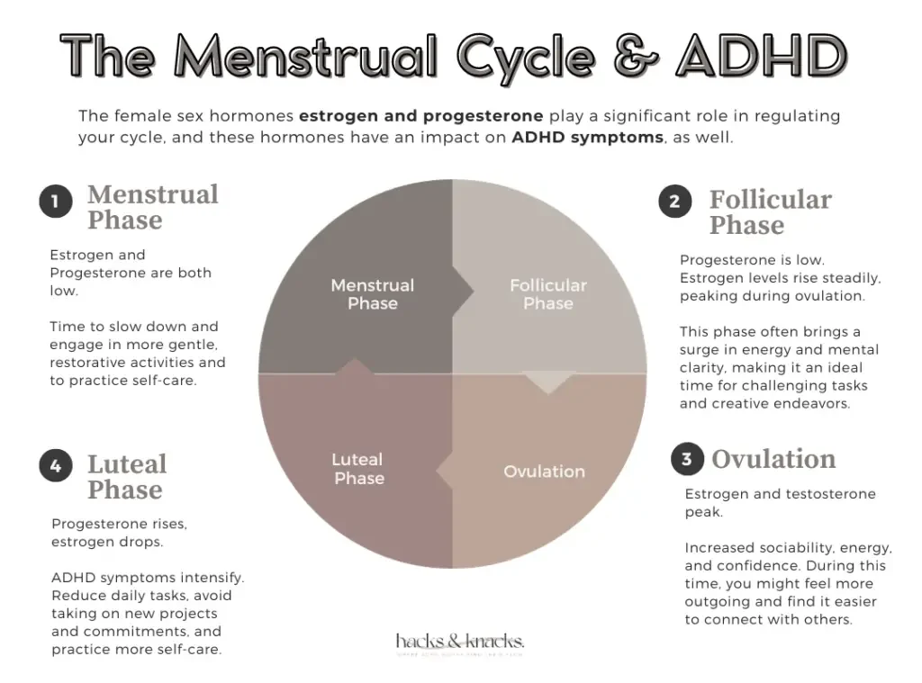 Infographic describing the hormonal fluctuations that take place during each phase of the menstrual cycle,  and how these fluctuations impact ADHD symptoms. 